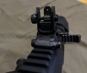AR 10 win308 Windham