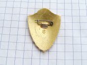 Специалист 3-го класса. Сержантский и рядовой состав Булавка В
