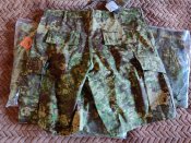 Шорти Chameleon L