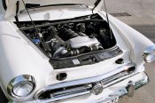 volga_cayenne_15.jpg