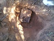 20130704_165043.jpg