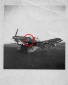 Junkers Ju 87 Suka mit Staffelwappen.JPG