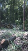 DSC_0016.JPG