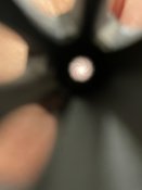 IMG_1412.jpeg