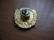 Знак "80 лет ВДВ"