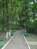 85850.jpg