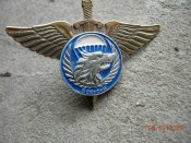 Знак дивизия  ВДВ.