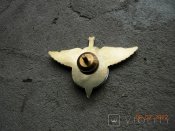 Знак дивизия  ВДВ.