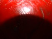 DSC08808.JPG