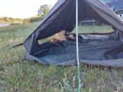 Палатка Арміі Франції Двохмісна ооригінал