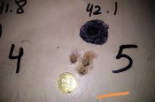 IMG_20200305_185903.jpg