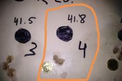 IMG_20200305_185938.jpg