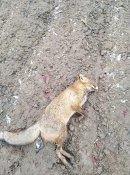 IMG_20200104_131407.jpg