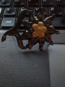Кокарда Эдельвейс