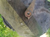 Кусок ствола воздушки