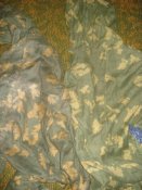 DSC08077.JPG