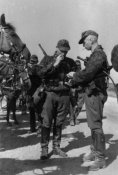 8th SS Cavalry Division „Florian Geyer”.jpg