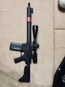 IMG_7863.jpeg