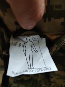Тактична, польова форма зсу