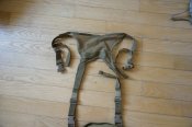 DSC03265.JPG