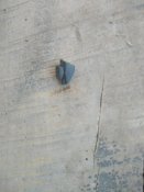 IMG_20220603_204003.jpg