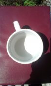 IMAG0343.jpg