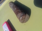 20220607_173113.jpg