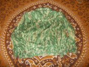 DSCN2268.jpg