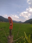 IMG_20210717_161200.jpg
