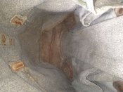 IMG_20220605_112150.jpg
