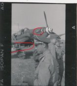 Kanonenvogel.jpg