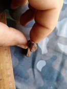 IMG_20220604_123434.jpg