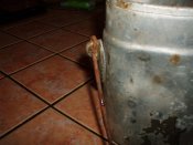 mini-P1010778.JPG