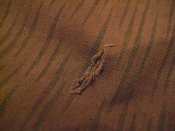IMG_1514.jpg