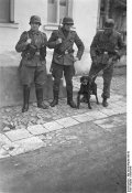 413px-Bundesarchiv_Bild_101III-Niquille-085-02,_Bek?mpfung_von_Partisanen.jpg