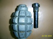 PIC_0339.jpg