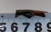a1.jpg
