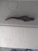 IMG_20220610_165612.jpg