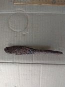 IMG_20220610_165603.jpg