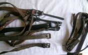 DSCN9215.JPG