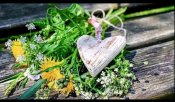 IMG_20220612_093455.jpg