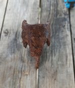 IMG_20220612_221208.jpg