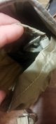 IMG_20220612_222731.jpg