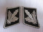 петлицы