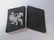 петлицы