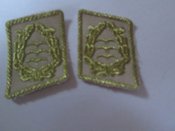 петлицы
