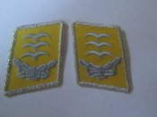 петлицы