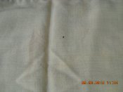 DSCN4039.JPG