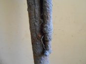 DSCN1670.JPG