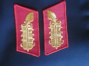 петлицы